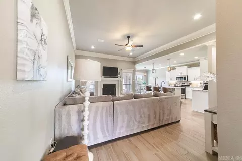 166 Hudson Branch Dr, Austin, AR 72007 photo 9