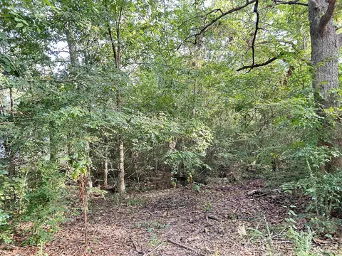 lot35 N Circle Dr, Ash Flat, AR 72513 photo 3