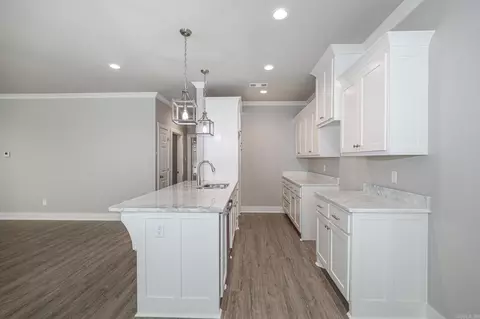 6558 Amalie Dr, Alexander, AR 72002 photo 13