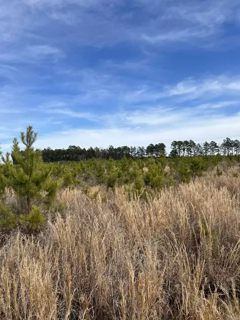 Highway 79 South, Pine Bluff, AR 71603 photo 5