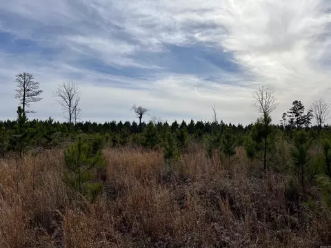 Highway 79 South, Pine Bluff, AR 71603 photo 2