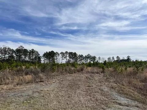 Highway 79 South, Pine Bluff, AR 71603 photo 11