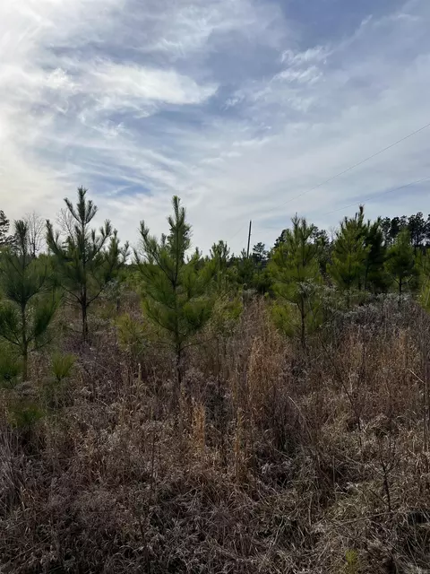 Highway 79 South, Pine Bluff, AR 71603 photo 3