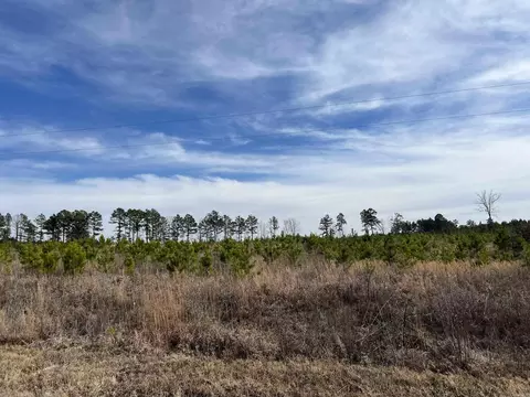 Highway 79 South, Pine Bluff, AR 71603 photo 9