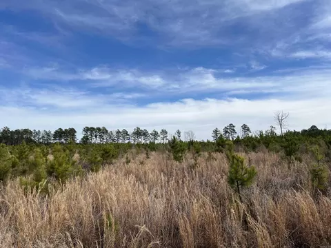 Highway 79 South, Pine Bluff, AR 71603 photo 4