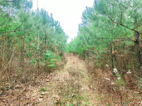 Falcon North 27, Falcon, AR 71858
