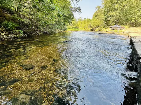 Other - 52 Apple Tree Ln, Melbourne, AR 72556 photo 11 of 16