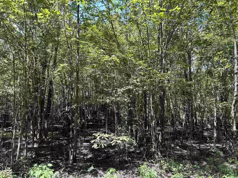 0 Padgett Rd, Pine City, AR 72069 photo 2