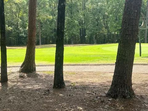 lot370 Brunn Cv, Drasco, AR 72530