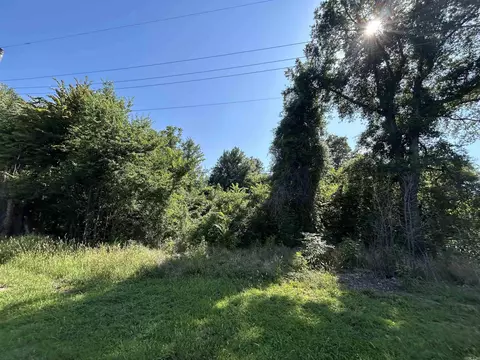 606 Hazel Ave, Brinkley, AR 72021 photo 2