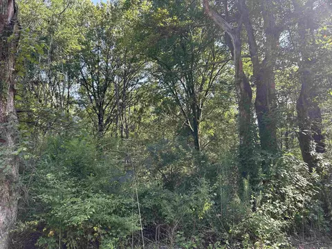 0 Chestnut, Brinkley, AR 72021 photo 2