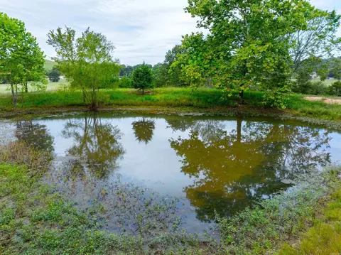 268 E County Line Rd, Mount Pleasant, AR 72561 photo 45