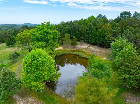 268 E County Line Rd, Mount Pleasant, AR 72561 photo 4