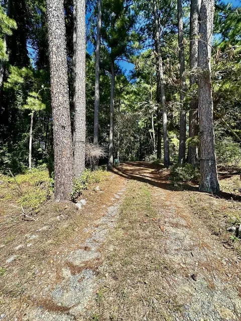 14103 Chicot, Mabelvale, AR 72103 photo 2