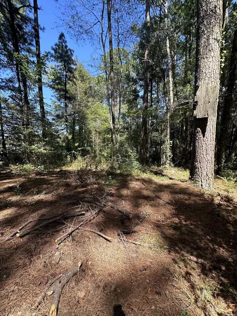 14103 Chicot, Mabelvale, AR 72103 photo 14