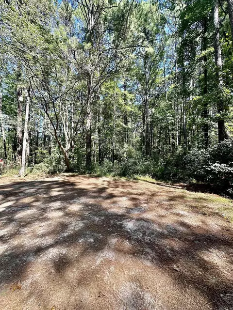 14103 Chicot, Mabelvale, AR 72103 photo 4