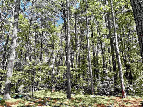 14103 Chicot, Mabelvale, AR 72103 photo 13