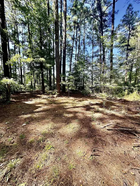 14103 Chicot, Mabelvale, AR 72103 photo 15