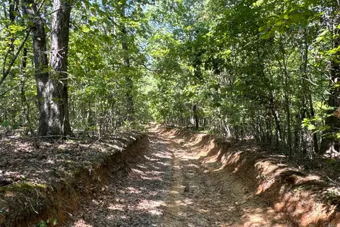 Clay County Rd. 408, Rector, AR 72461 photo 7