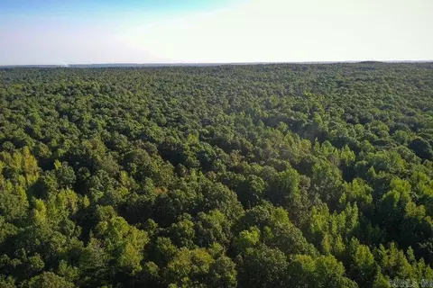 Clay County Rd. 408, Rector, AR 72461