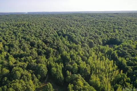 Clay County Rd. 408, Rector, AR 72461 photo 50