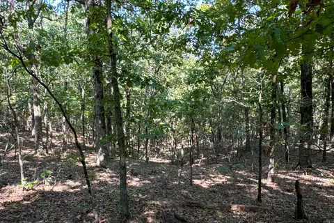 Clay County Rd. 408, Rector, AR 72461 photo 35