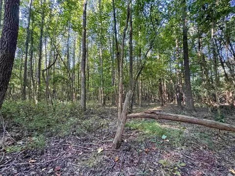 Clay County Rd. 408, Rector, AR 72461 photo 18