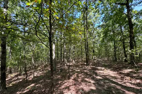Clay County Rd. 408, Rector, AR 72461 photo 43