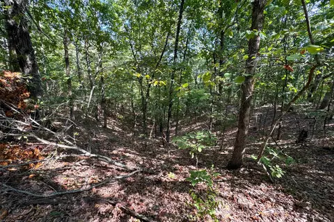 Clay County Rd. 408, Rector, AR 72461 photo 36