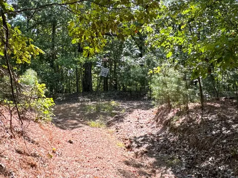 Clay County Rd. 408, Rector, AR 72461 photo 38
