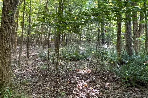 Clay County Rd. 408, Rector, AR 72461 photo 25