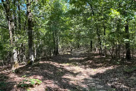 Clay County Rd. 408, Rector, AR 72461 photo 44