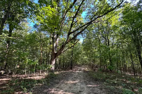 Clay County Rd. 408, Rector, AR 72461 photo 32