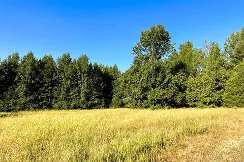 Clay County Rd. 408, Rector, AR 72461 photo 17