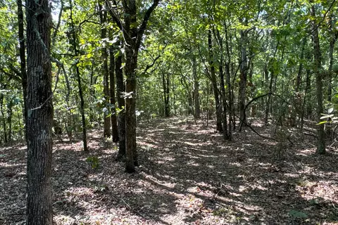 Clay County Rd. 408, Rector, AR 72461 photo 39
