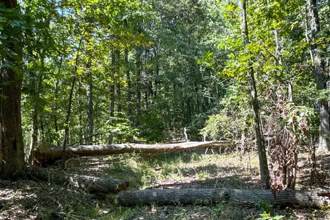 Clay County Rd. 408, Rector, AR 72461 photo 45