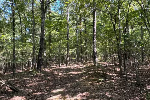 Clay County Rd. 408, Rector, AR 72461 photo 37