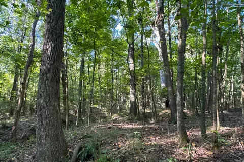 Clay County Rd. 408, Rector, AR 72461 photo 23