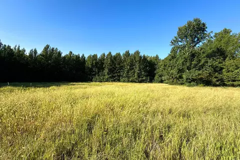 Clay County Rd. 408, Rector, AR 72461 photo 6