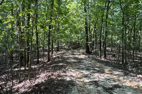 Clay County Rd. 408, Rector, AR 72461 photo 40