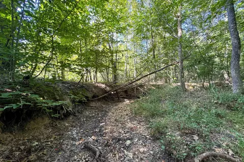 Clay County Rd. 408, Rector, AR 72461 photo 12