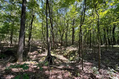 Clay County Rd. 408, Rector, AR 72461 photo 41