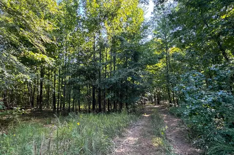 Clay County Rd. 408, Rector, AR 72461 photo 29