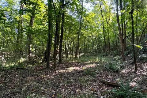 Clay County Rd. 408, Rector, AR 72461 photo 26