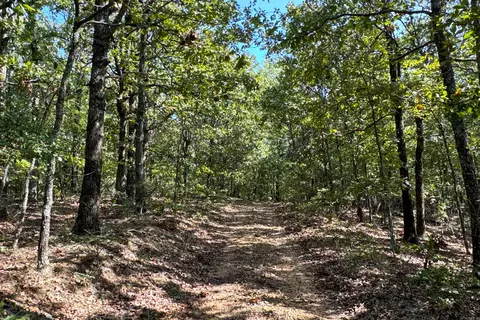 Clay County Rd. 408, Rector, AR 72461 photo 34