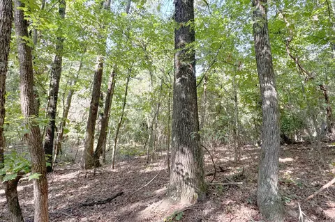 Clay County Rd. 408, Rector, AR 72461 photo 31