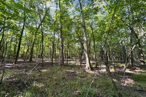 Clay County Rd. 408, Rector, AR 72461 photo 24