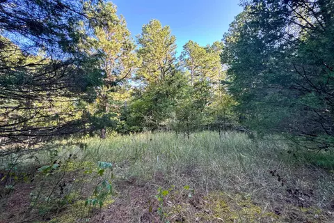 Clay County Rd. 408, Rector, AR 72461 photo 20