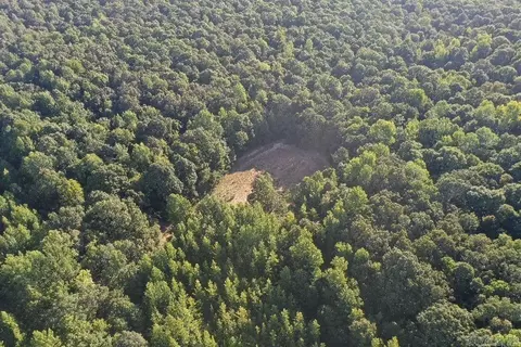 Clay County Rd. 408, Rector, AR 72461 photo 48