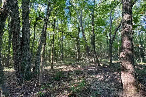 Clay County Rd. 408, Rector, AR 72461 photo 21